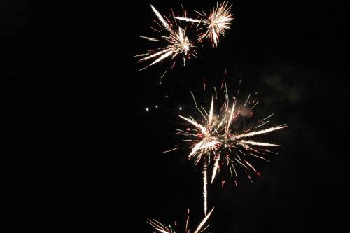 IMG 6225top